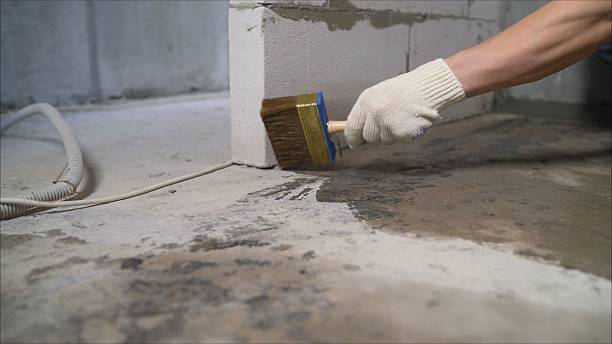 24/7 Emergency Waterproofing experts in Camden, MI